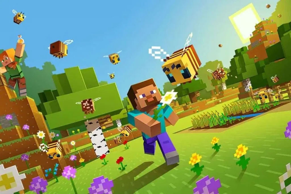 photo de Minecraft
